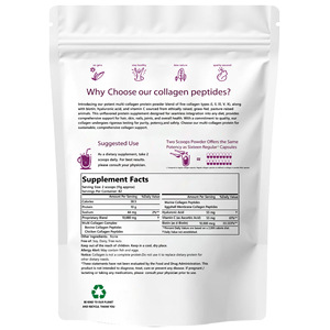 Poudre de peptide de collagène GMP Peptide de protéine hydrolysé et poudre de boisson de protéine de vitamine sont les plus populaires pour la beauté adulte - Product Image 5