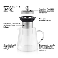 Théière en verre avec infuseur, théière en borosilicate, filtre en acier inoxydable, résistante à la chaleur, bouilloire à thé en vrac