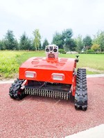 Mesin Pemotong Rumput Pintar dengan Kontrol Jarak Jauh GPS Opsional, Radar HD, Lebar Pemotongan 550mm & Ketinggian yang Dapat Disesuaikan 10-180mm