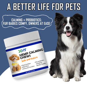 Angstlösende Kausnacks mit Kamille zur Entspannung Haustier-Nahrungsergänzungsmittel Hunde-Soft-Kausnacks - Product Image 6