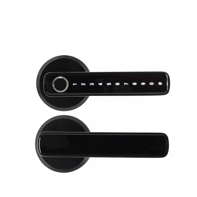 Classic Aluminum Electronic Smart Door Handle Lock with Fingerprint Password WiFi Tuya TTLock App Keyless Entry Glass Door Cloud