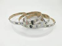 Bandes LED adressables DMX 24V DC IP20 19,2W/M SMD5050 RGBW en cuivre, contrôle par application, pour aménagement paysager