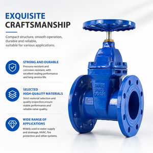 Fabricant chinois de vannes à opercule à bride en fonte ductile robuste à siège résilient pour l'alimentation en eau industrielle PN10 PN16 - Product Image 1