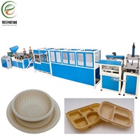 Machine de thermoformage automatique en ligne pour assiettes, bols et barquettes alimentaires compostables et écologiques à base de coques de riz