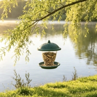 Mangeoire à oiseaux automatique portable d'extérieur en gros avec support pour aliments pour perroquets pour la maison et le jardin