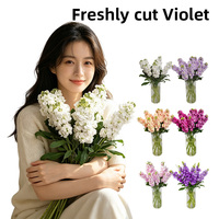 Bunga Violet Segar Baru Warna Terang Putih Ungu Pink 1-2 Tangkai Violet Tidak Rata untuk Wanita