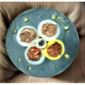 Câbles de puissance nucléaire résistants aux radiations conformes aux normes nationales spécifiques aux sous-stations avec 1 an de garantie - Product Image 2