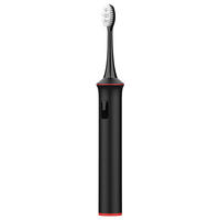 Brosse à dents sonique sans fil pour adultes Risuntech T2401, modèle rechargeable de haute qualité, prise en charge de la personnalisation du logo de marque OEM