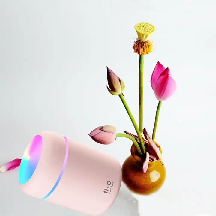 H2O-Mini humidificateur d'air portable USB, diffuseur d'arômes, brume  fraîche