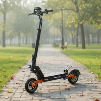 Scooter Eléctrico al por Mayor de 800W/1000W/1600W, 48V 13Ah-20Ah, Múltiples Opciones, Plegable, para Adultos, Todoterreno