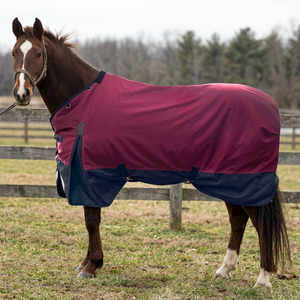 Manta Impermeable para Caballo de Invierno, 1800D, Relleno de Algodón Oxford, Color Sólido, 4 Correas para las Patas, Solapa Grande para la Cola, Uso en Exteriores - Product Image 2