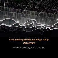 Rideau de plafond LED RGB YN pour mariage, bande lumineuse LED pour décoration de mariage, décoration de fête et d'événements
