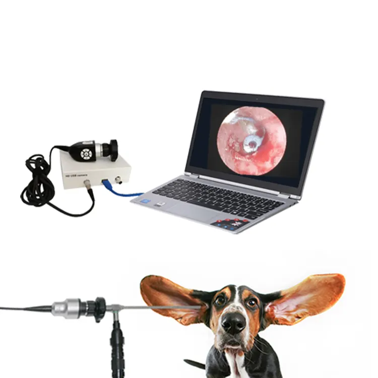 Комплект эндоскопов, жесткий портативный ветеринарный эндоскоп, оборудование для камеры