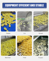 Sensitar 1000Kg 2000Kg 5000Kg 10000Kg Volautomatische Frietmachine Voor Bevroren Lange Aardappel
