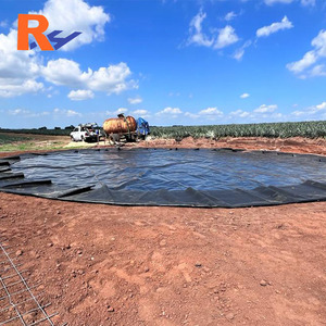 HDPE de Doble Textura de 1.5 mm para Barrera Contra Infiltraciones en Presas de Ceniza en la Central Eléctrica Mae Moh, Lampang, Tailandia - Product Image 2