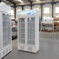 Réfrigérateur à boissons Cola, Vitrine réfrigérée pour boissons