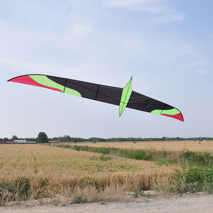 Nuevo cuchillo personalizado <span class=keywords><strong>de</strong></span> 6 metros, <span class=keywords><strong>cometa</strong></span> <span class=keywords><strong>de</strong></span> pájaro P31, tela Breeze, <span class=keywords><strong>vuelo</strong></span> al aire libre para adultos, se entrega directamente desde <span class=keywords><strong>la</strong></span> fábrica china - Product Image 6