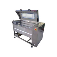 Nouveau éplucheur automatique pour légumes, fruits et gingembre, rouleau, machine à éplucher les pommes de terre,