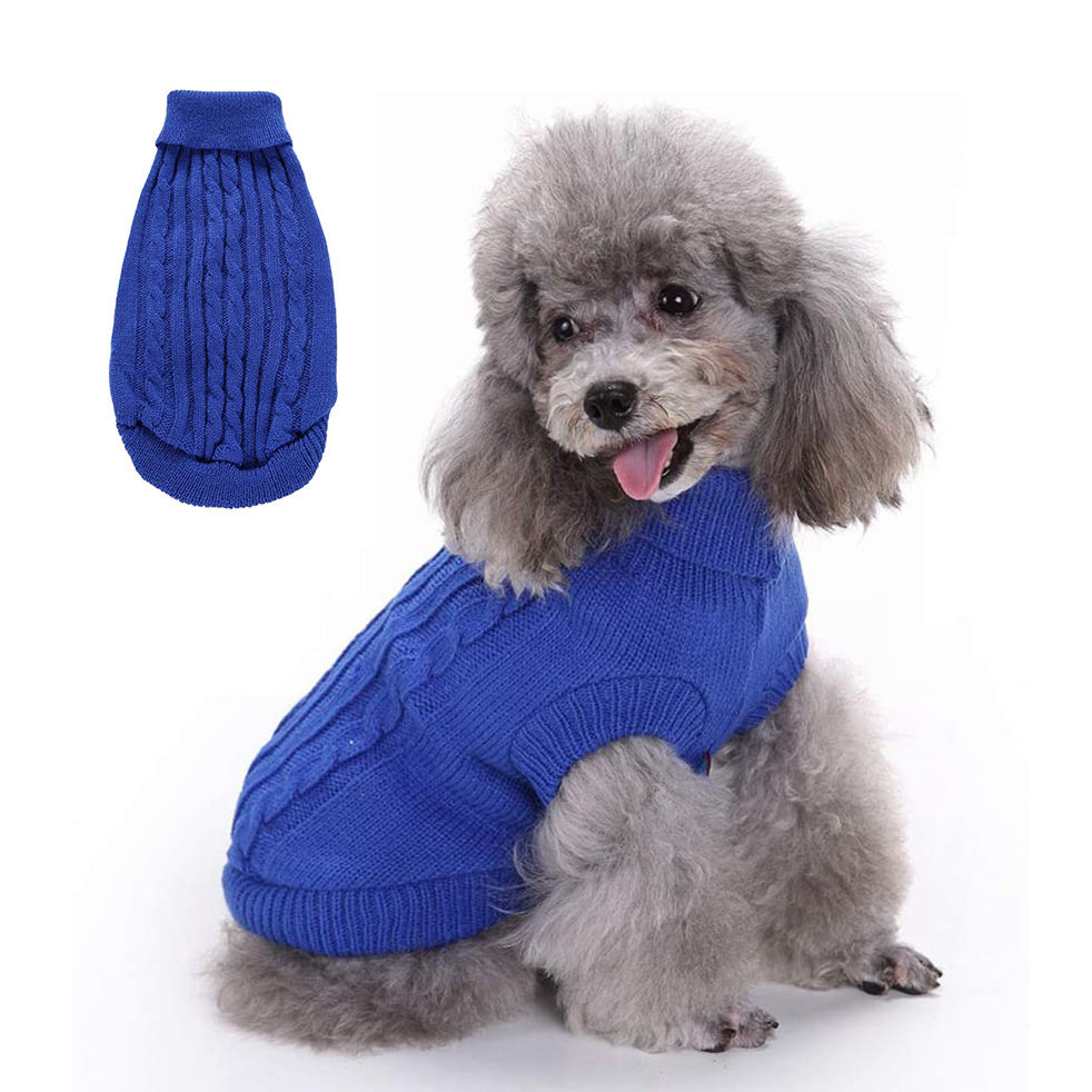 dog accessory for $1000