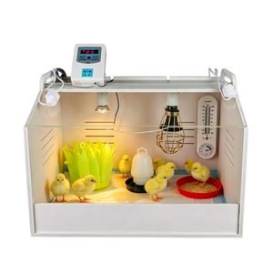 <span class=keywords><strong>Incubadora</strong></span> Comercial con Control de Temperatura para la Cría de Pollitos, Codornices, Patos y Gansos - Product Image 5