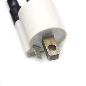 คอยล์จุดระเบิดดัดแปลงรถจักรยานยนต์แรงดันสูง OEM DTS-1-100P-0101 BM150 CT100 plati <span class=keywords><strong>CD125</strong></span> NA100X - Product Image 4