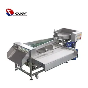 Hot Sale Low Price Garlic mandarin orange sorting machine passion fruit grading machine