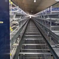 Équipement d'élevage de volailles en cage à fil galvanisé à chaud entièrement automatique, durée de vie de 20 ans, pour fermes avicoles en Afrique - Vente chaude