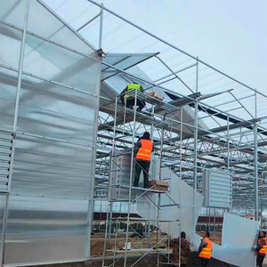 Láminas <span class=keywords><strong>de</strong></span> Policarbonato <span class=keywords><strong>de</strong></span> Doble <span class=keywords><strong>Pared</strong></span> Modernas y <span class=keywords><strong>Populares</strong></span> para Iluminación Exterior, 8mm/10mm/12mm, para Tragaluces y Techos - Product Image 2