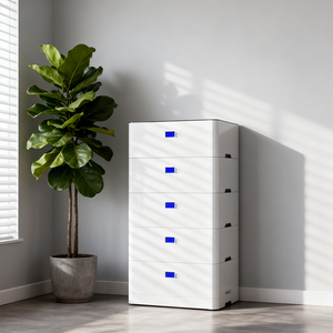ข้อเสนอพิเศษ5KWH 10KWH แบตเตอรี่ลิเธียมไอออน100Ah 200Ah 15KWH LiFePo4 51.2V แยกแบตเตอรี่เก็บพลังงานแสงอาทิตย์สำหรับบ้านจัดส่งฟรี - Product Image 1