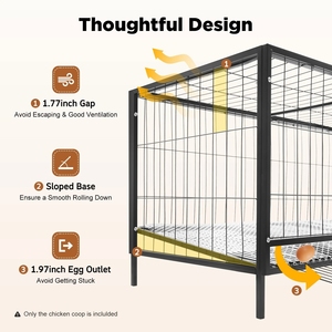 Plans de poulaillers extérieurs pratiques pour 8 à 10 poulets - Product Image 5
