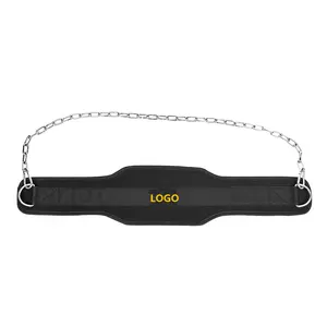 Nhà Máy Giá Heavy Duty Đôi Phòng Tập Thể Dục Tập Thể Dục Nâng Tạ Nhúng Vành Đai Với Chuỗi Thép - Product Image 1