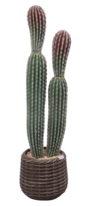 Cilindrico alla moda realistico artificiale <span class=keywords><strong>cactus</strong></span> con vasi per la decorazione interna esterna - Product Image 2