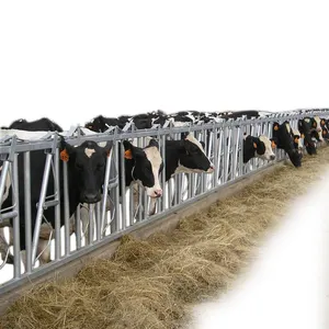 Equipamento de alimentação seguro e resistente da fazenda, gado de vaca galvanizada quente