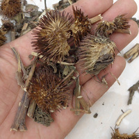 Herbes d'Échinacée : Feuilles Entières Séchées, Extrait Pur pour Tisane