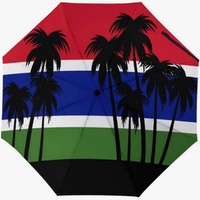 Parapluie pliant entièrement automatique résistant à la pression, motif drapeau culturel du Ghana, style thématique national