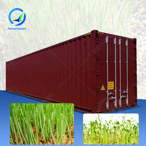 Machine de germination commerciale OCEAN pour la culture de pousses, système hydroponique de culture de fourrage à base de graines de haricot mungo - Product Image 1