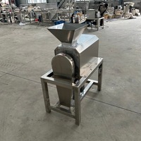 Industriële fruitverwerkingsinstallaties automatische tomaten- en mangopureermachine met enkele/dubbele kanaal fruitpulper