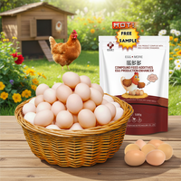 Additifs Alimentaires Enzymatiques pour Poulets en Croissance et Pondeuses – Stimulateur de Production d'Œufs, Vitamines et Lysine pour Volailles – Pré-mélange en Poudre pour Alimentation Avicole