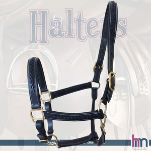Premium DD Leather Handmade Leather Braided Equestrian <b>Halter</b> - Product Image 3