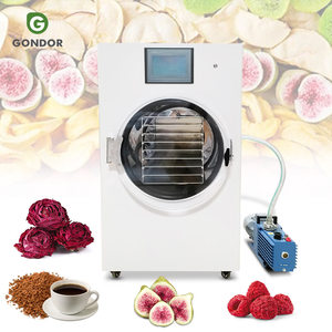 Máquina de Secado por Congelación al Vacío Portátil, Liofilizador Doméstico para Verduras y Frutas - Product Image 1