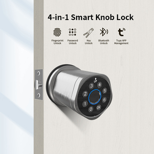 ลูกบิดอลูมิเนียมอัลลอยด์ที่ทนทานพร้อมระบบล็อคลายนิ้วมือและรหัสผ่าน ดีไซน์อัจฉริยะสำหรับประตูไม้ (BL10) - Product Image 3