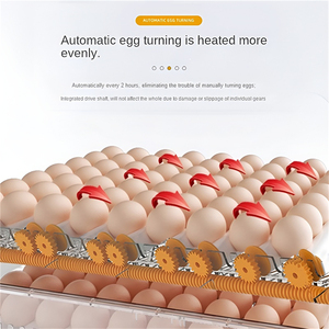 Incubatrice Intelligente Grande da 500 Uova, Completamente Automatica per Uso Domestico, per Allevamento di Polli, Anatre, Oche, Uccelli e Volatili Selvatici - Product Image 6