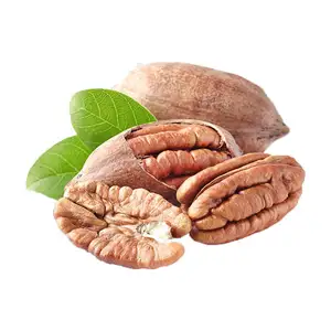 Excellent organic shelled pecan for export