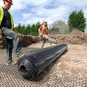 Biaxiaal Weven Warp Gebreide Polyester <span class=keywords><strong>Geogrid</strong></span> Voor Wegenbouw Opritten Lange Service Bestrating Keermuur Kunststof Hdpe - Product Image 1