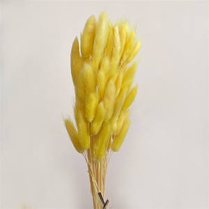 Vente en gros d'herbe à queue de lapin préservée, bouquet d'herbe naturelle de <span class=keywords><strong>Lagurus</strong></span> ovatus pour les événements de mariage à la maison, arrangement floral - Product Image 5
