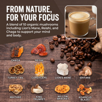 Extraits de plantes 10 en 1, poudre de café aux champignons, boost d'énergie instantané, concentration mentale, soutien immunitaire, sans sucre