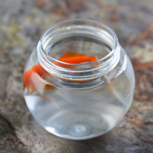 All'ingrosso Mini acquario portatile in plastica per pesci e tartarughe piccolo accessorio per acquario domestico - Product Image 6