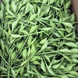 Flower Shape Napkin Holders Green Eco-Friendly For Party Table <b>Decorations</b> - Product Image 4