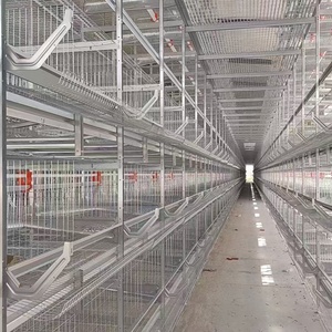 Gabbia a strati tipo H per polli, sistema automatico di alimentazione, gabbia a batteria zincata durevole - Product Image 3