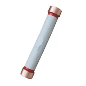 Single Tube High Pressure Thermal Fuse RN1 RN3 Fuse